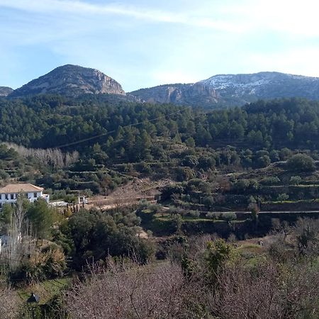 הוסטל Alcoleja Casa Malferit מראה חיצוני תמונה