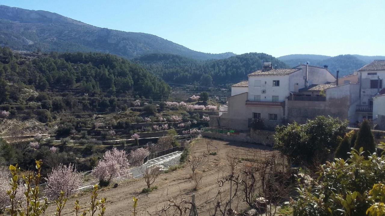 הוסטל Alcoleja Casa Malferit מראה חיצוני תמונה