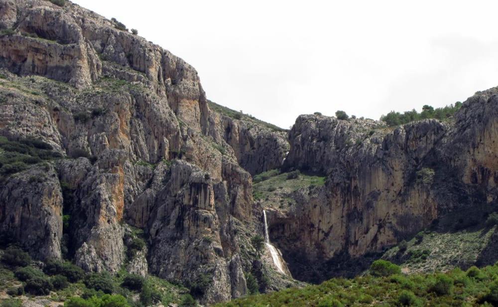 הוסטל Alcoleja Casa Malferit מראה חיצוני תמונה
