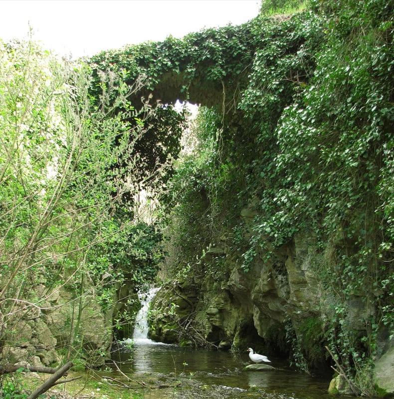 הוסטל Alcoleja Casa Malferit חדר תמונה