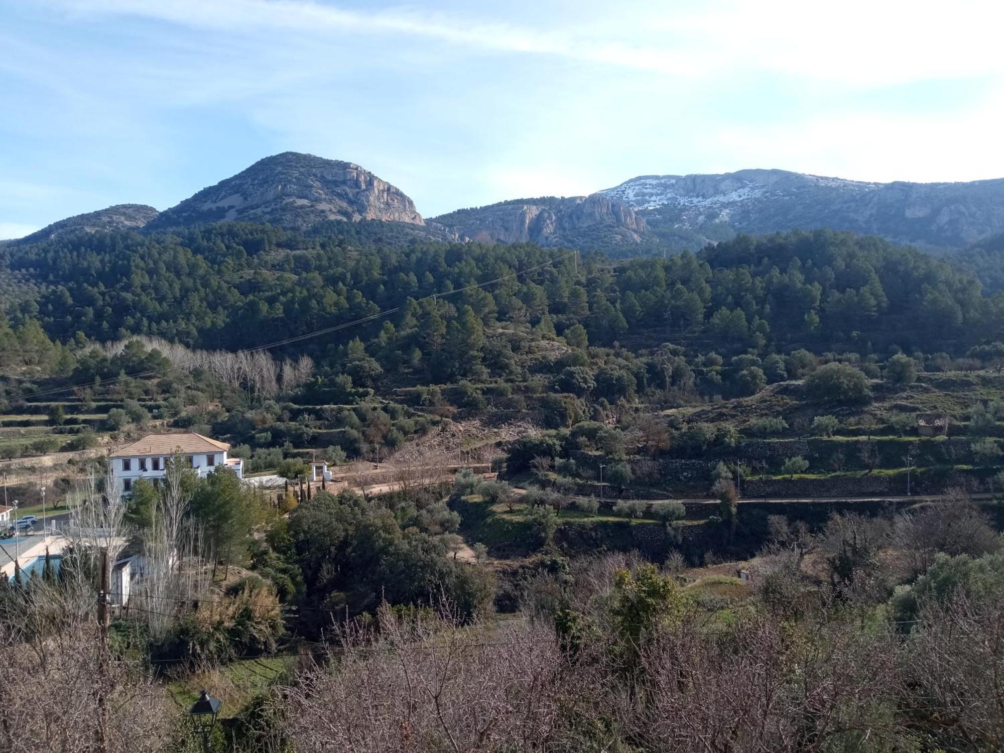 הוסטל Alcoleja Casa Malferit מראה חיצוני תמונה